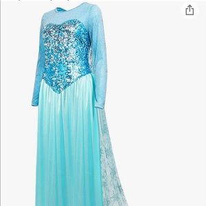 Elsa Frozen Costume Size XXL